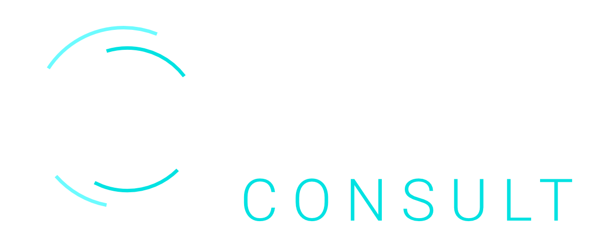 Bösinger Consult